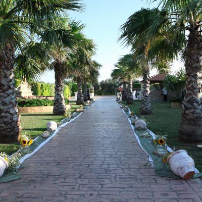 Ktima Apollonia 10